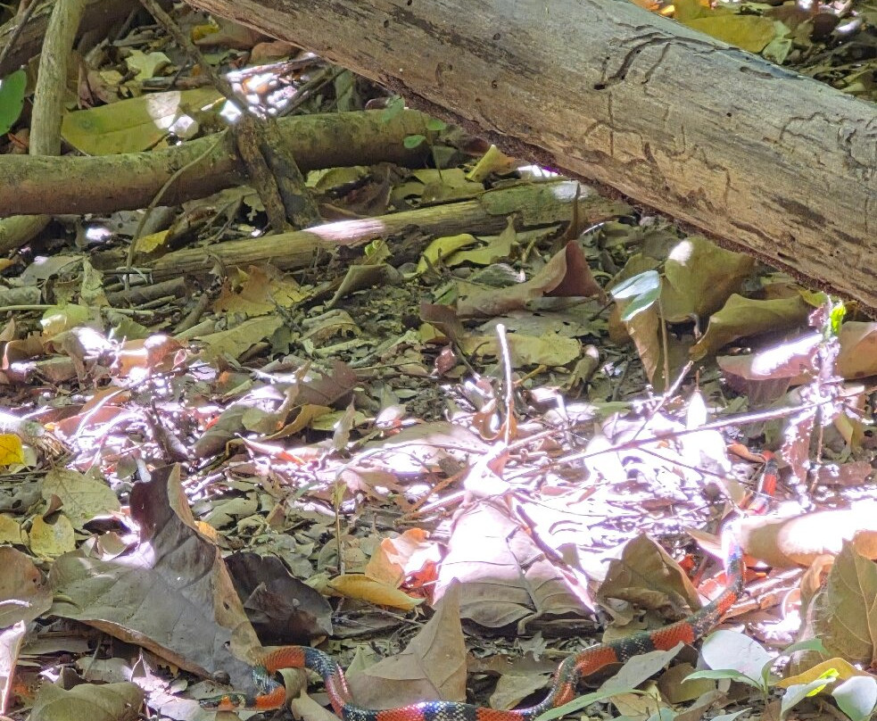 Cachoeira Candaru-Cavalcante必去景点