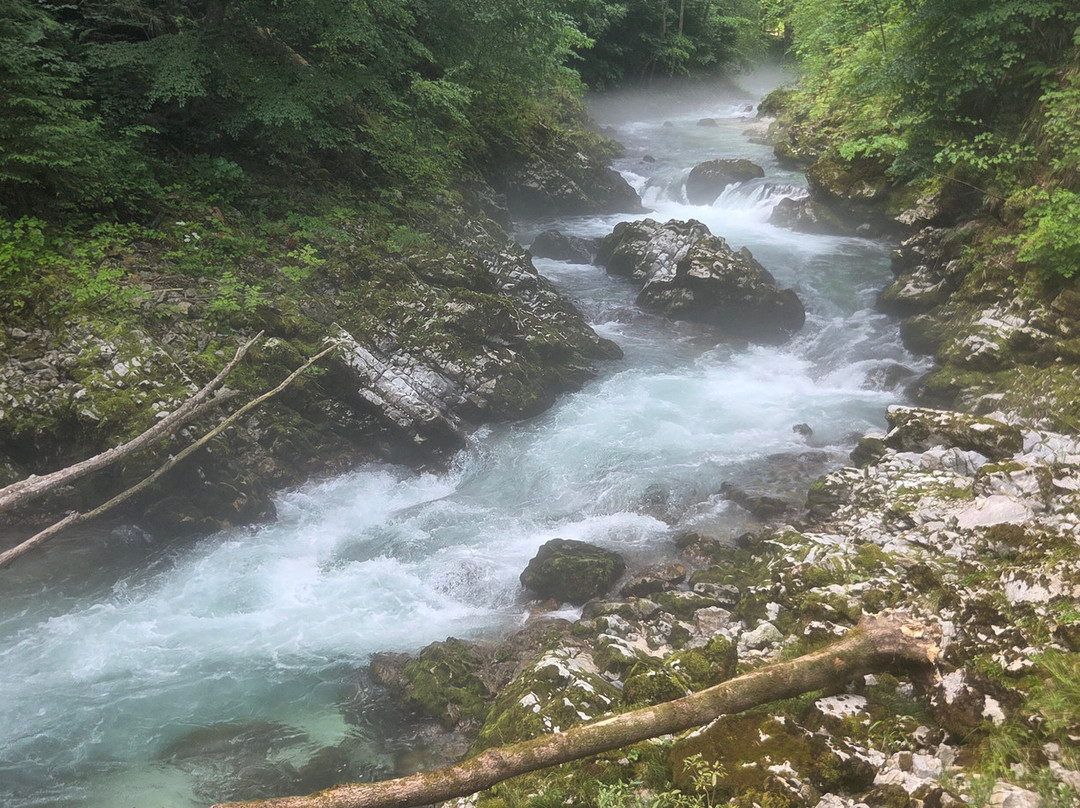 文特加峡谷（Soteska Vintgar）-Zgornje Gorje必去景点