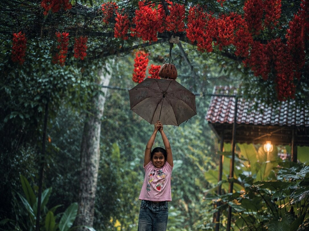 Crystal Kuruva Nature Resort & Spa主图