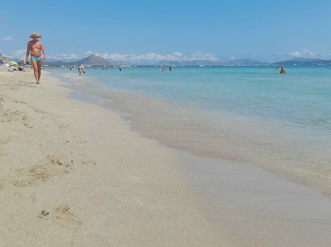 Playa de Ca'n Picafort-Ca'n Picafort必去景点