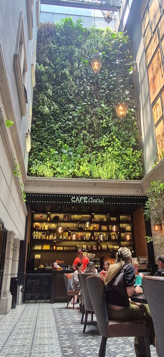 索卡洛中心酒店-旅行者