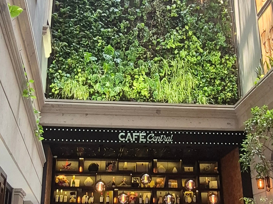 索卡洛中心酒店主图