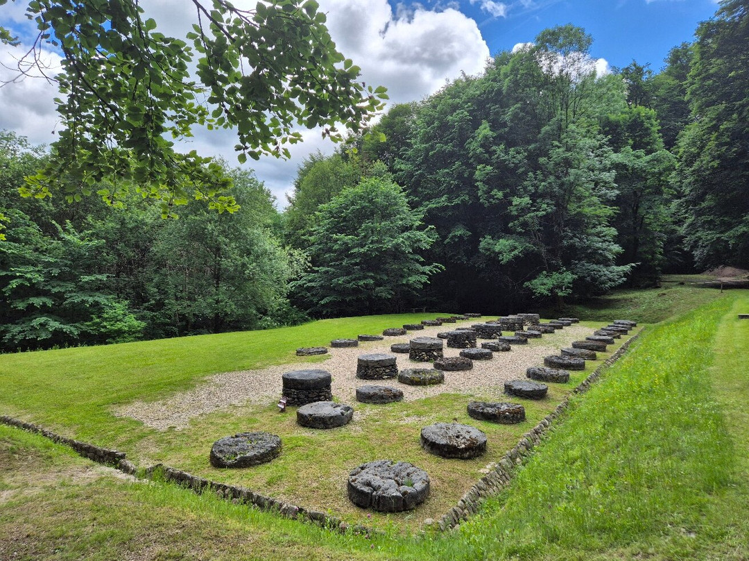 Sarmizegetusa Regia-Hunedoara County必去景点
