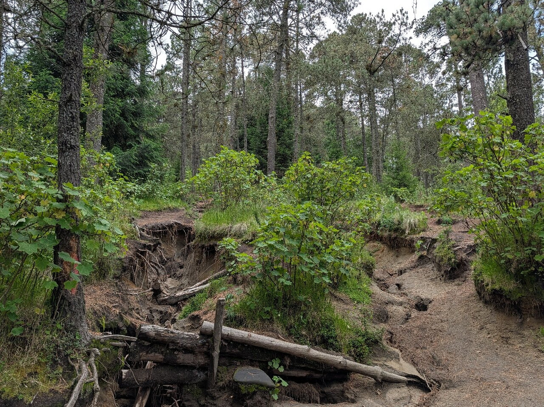 La Malinche National Park-Huamantla必去景点
