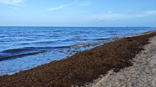 普伦吉海滩度假村-旅行者