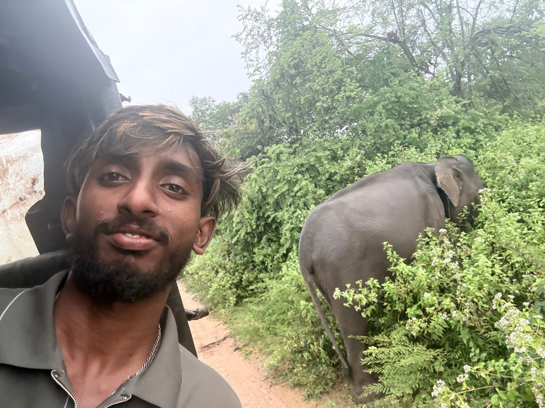 AH Tours Lanka