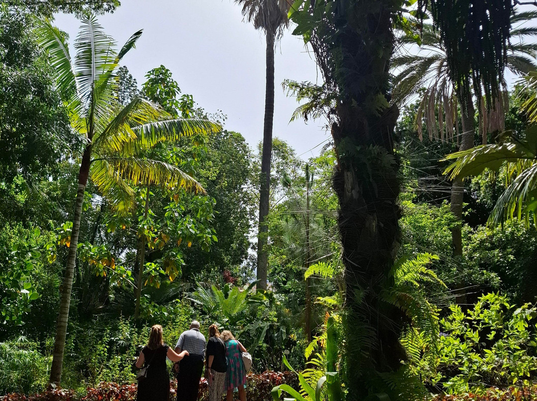 Botanischer Garten-德拉克鲁兹索尔港必去景点