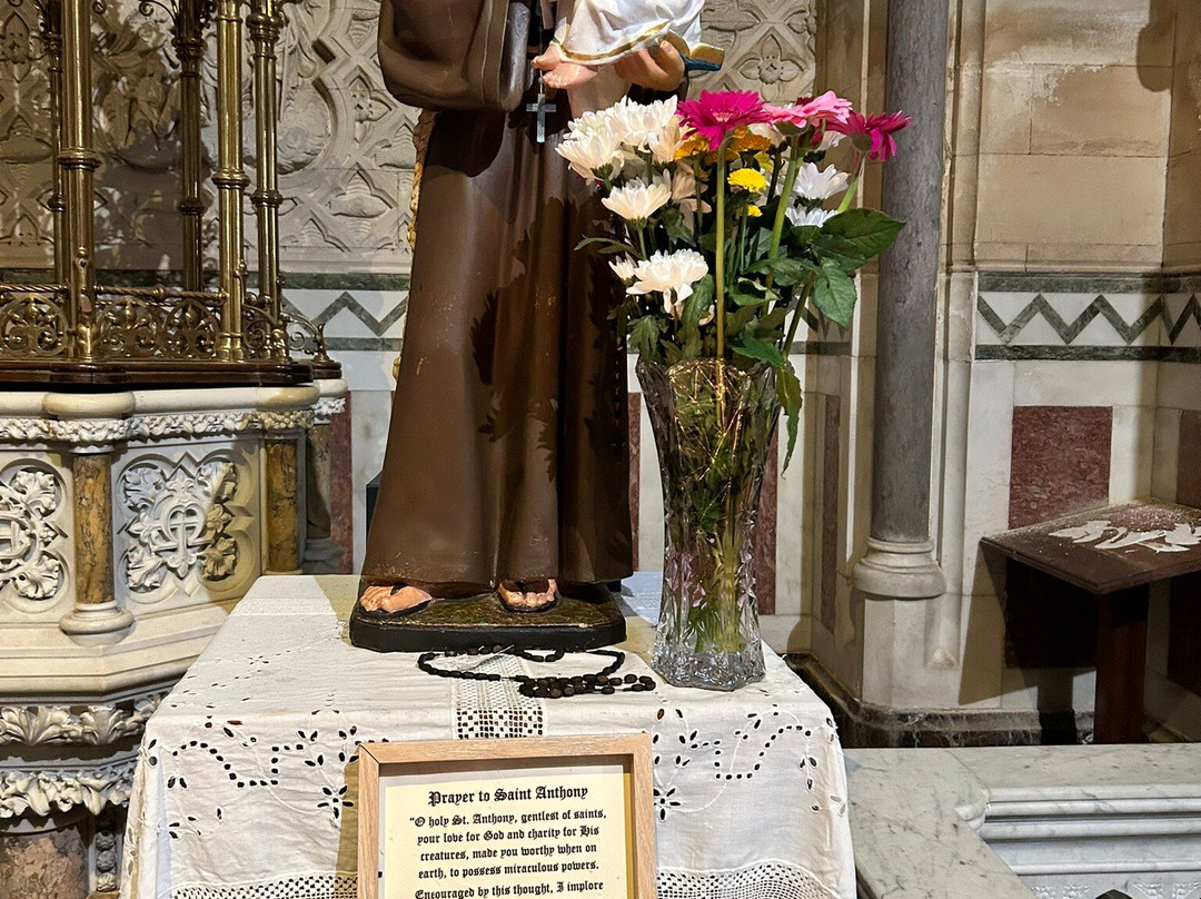 St Colman’s Cathedral-科夫必去景点