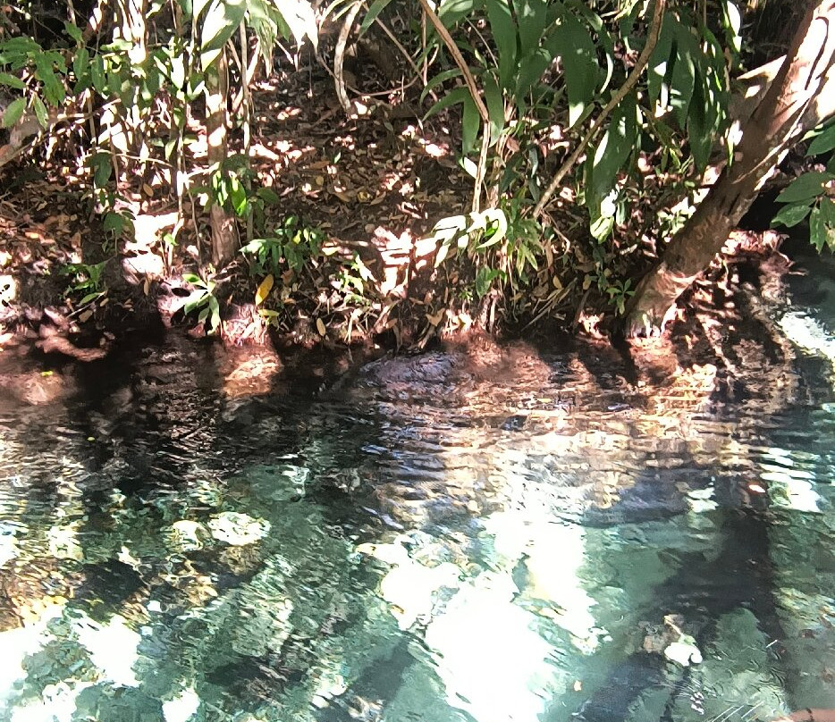 Cachoeira do Formiga-Mateiros必去景点