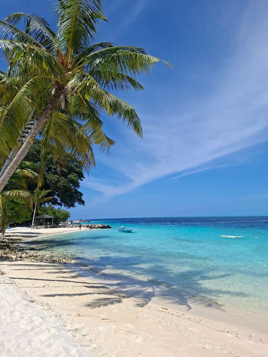 Into the Blue Lodge-旅行者