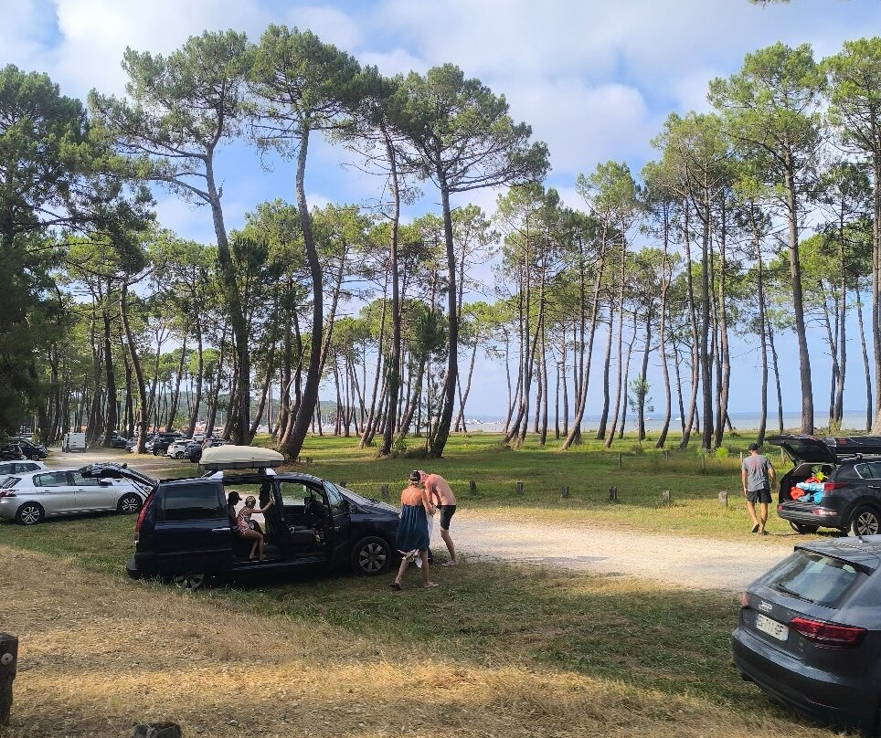 Lac de Biscarrosse et de Parentis -比斯卡罗斯必去景点