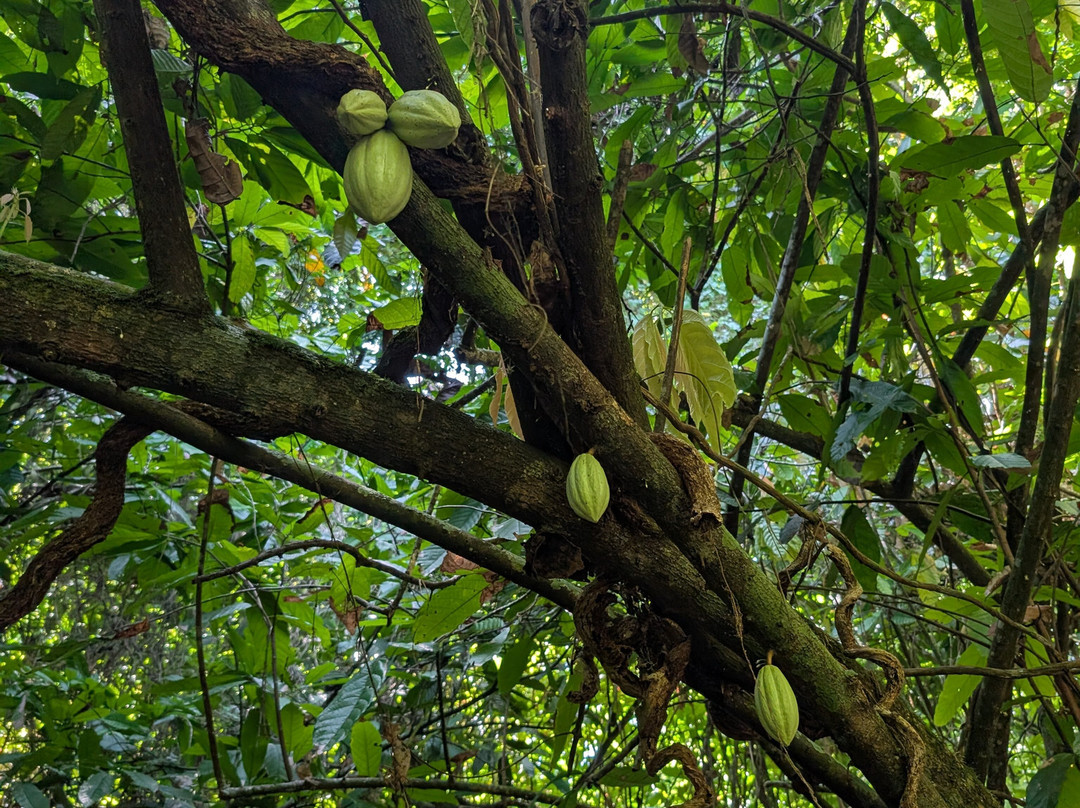 Booking Adventures-Sabana de la Mar必去景点