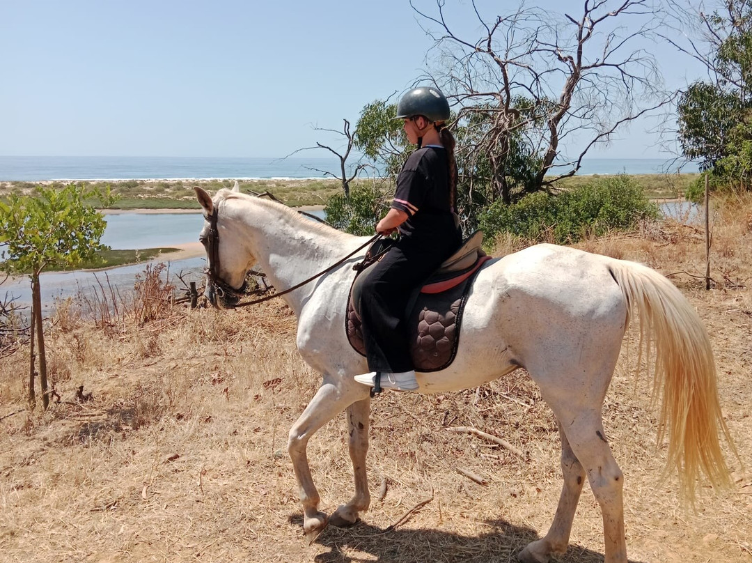 Tavira Equestrian Tourism-塔维拉必去景点