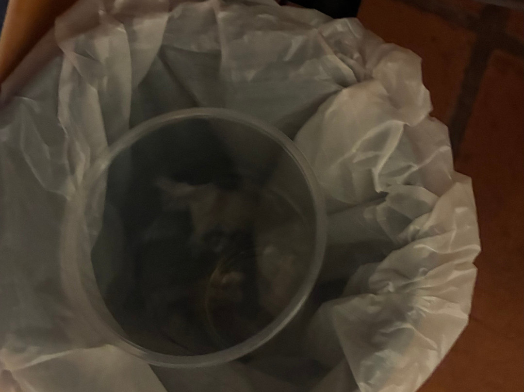 菲格罗拉餐厅酒店主图