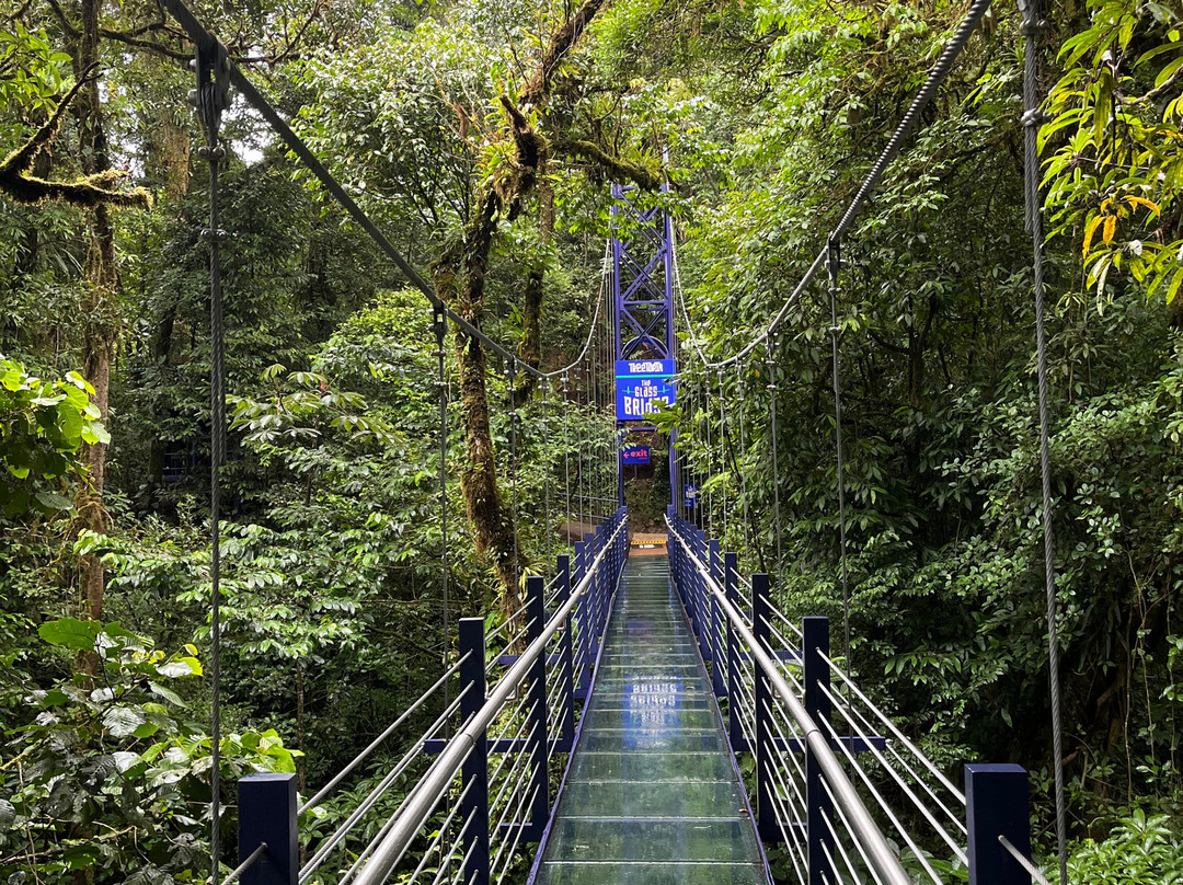 Best of Costa Rica DMC-圣何塞必去景点