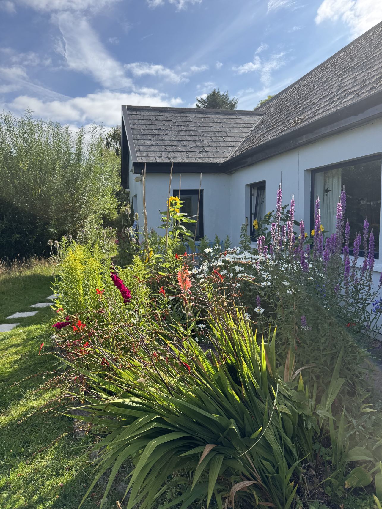 Bellatrix Bed and Breakfast for Women-旅行者