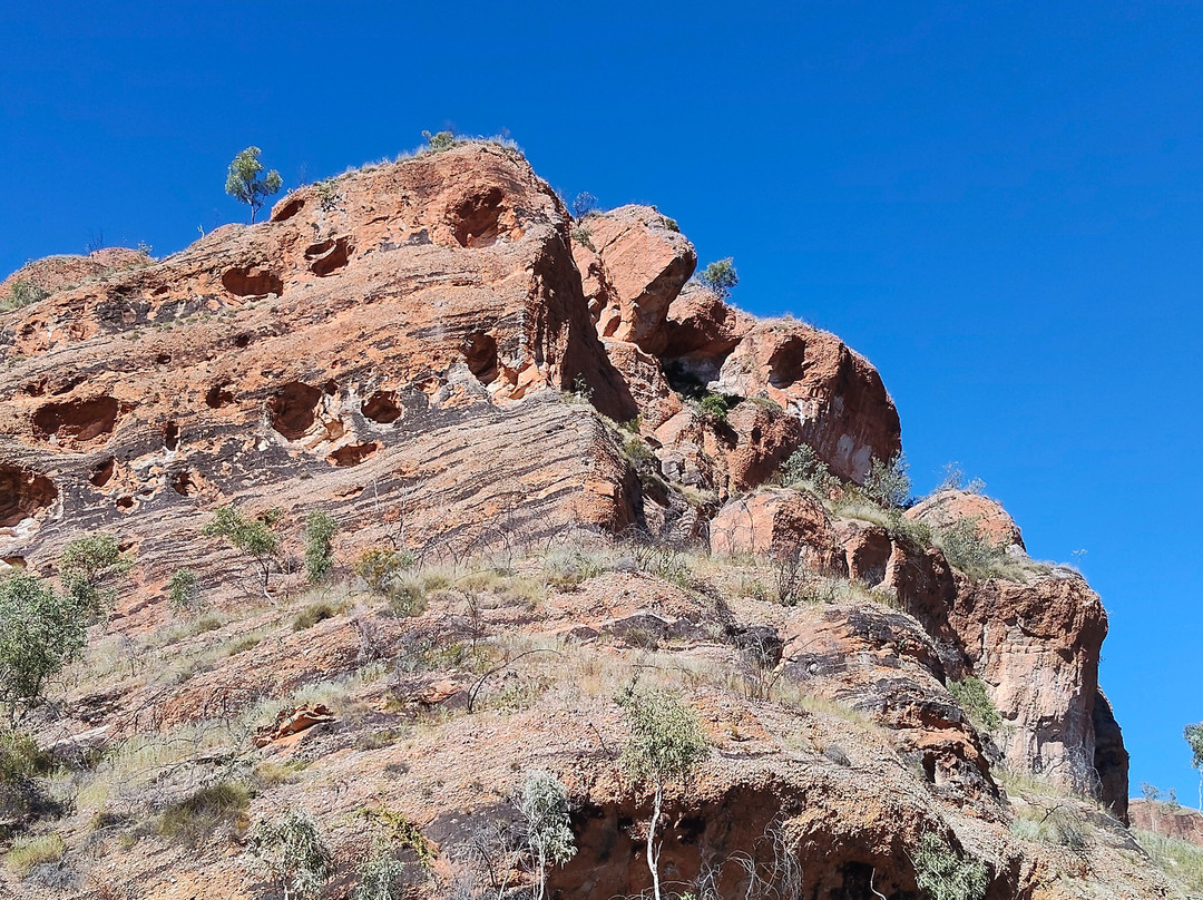 Echidna Chasm