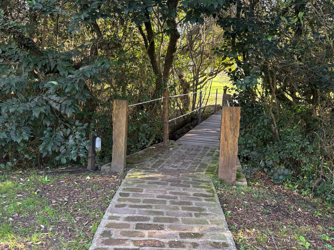 Embarcadero de Yates Riachuelo Park-科洛尼亚·德尔萨克拉门托城必去景点