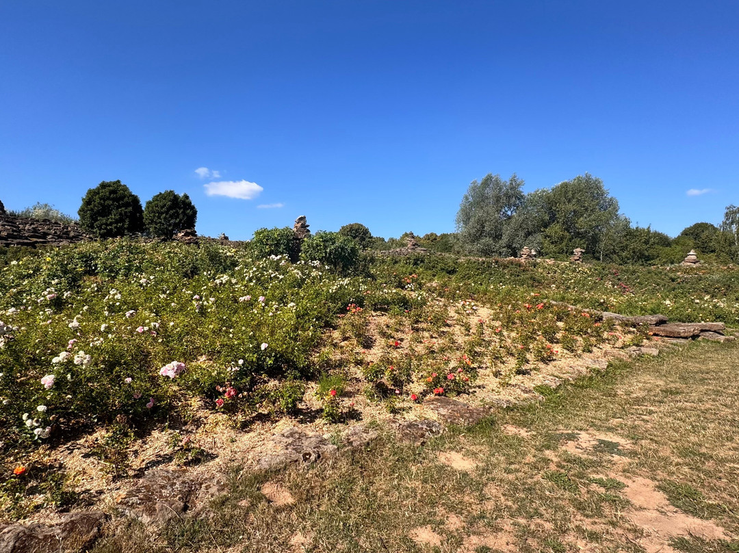 Schlosspark Dennenlohe-Unterschwaningen必去景点
