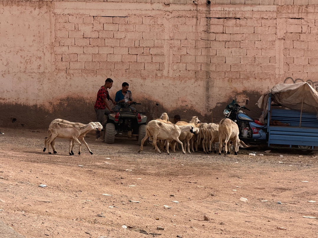Kasbah Le Mirage主图