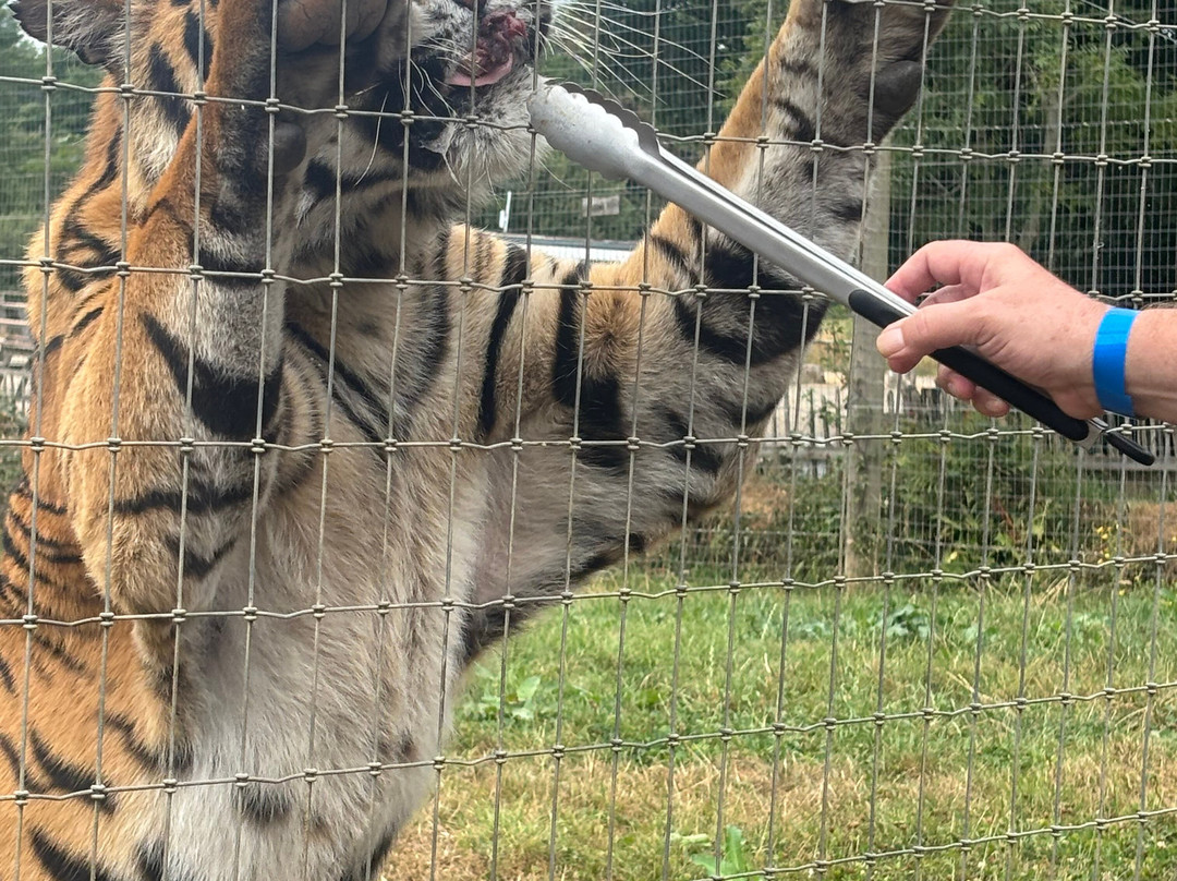 Manor Wildlife Park-St. Florence必去景点
