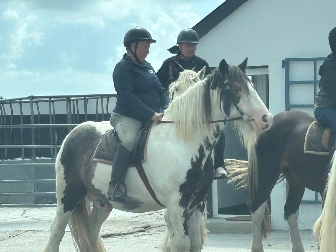 Mountain View Horse Riding Centre-Lisdoonvarna必去景点