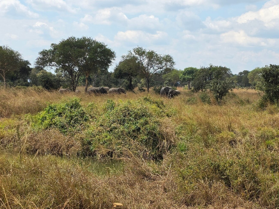 Next Stop Tanzania-阿鲁沙必去景点