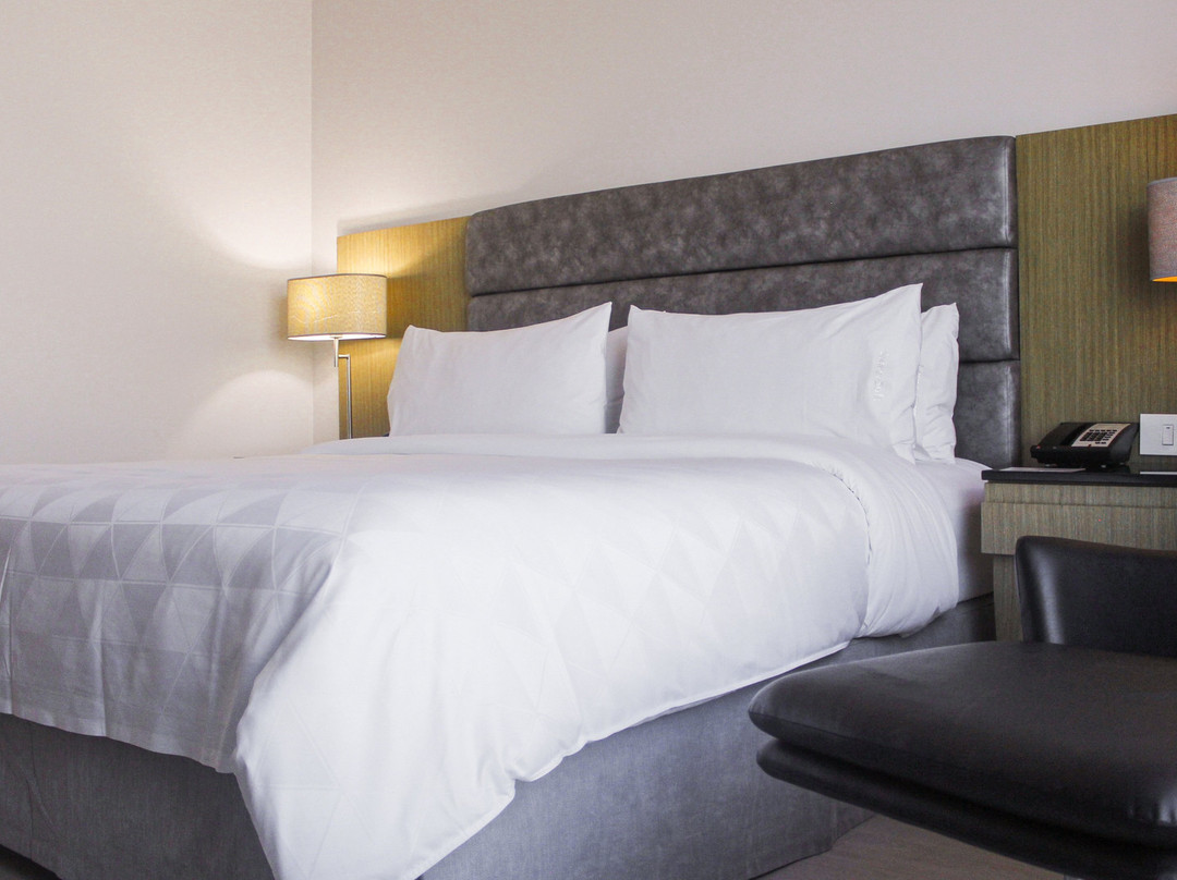布卡拉曼加酒店住宿-Holiday Inn Bucaramanga Cacique by IHG