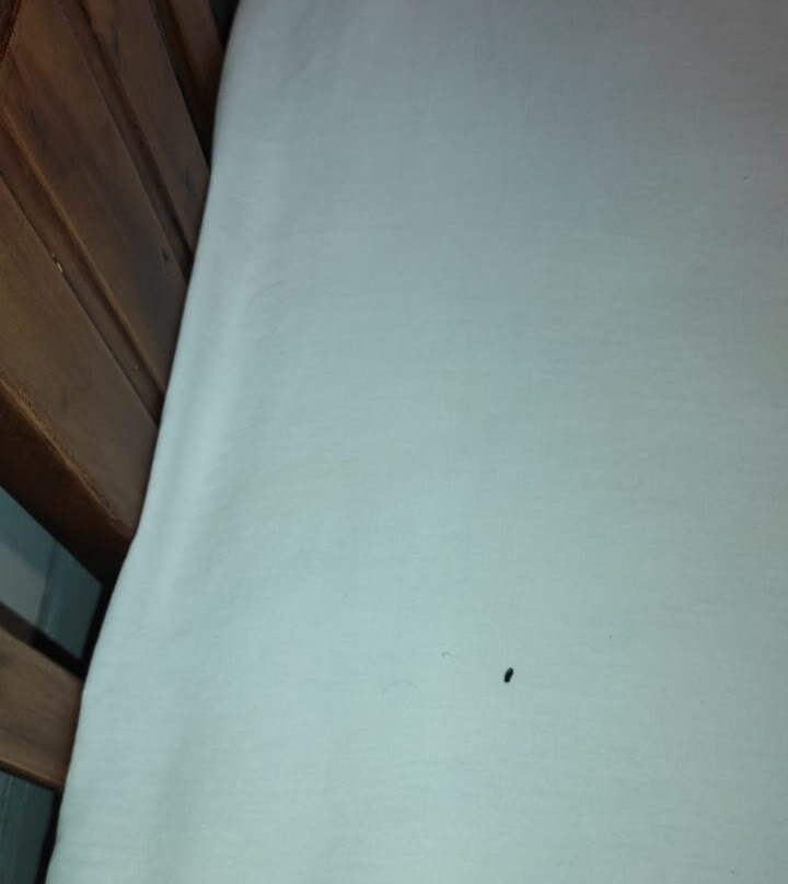 Hotel San Antonio Suite主图