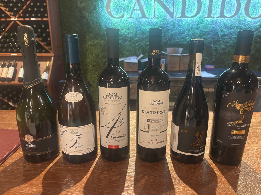 Vinicola Dom Cândido-本图贡萨尔维斯必去景点