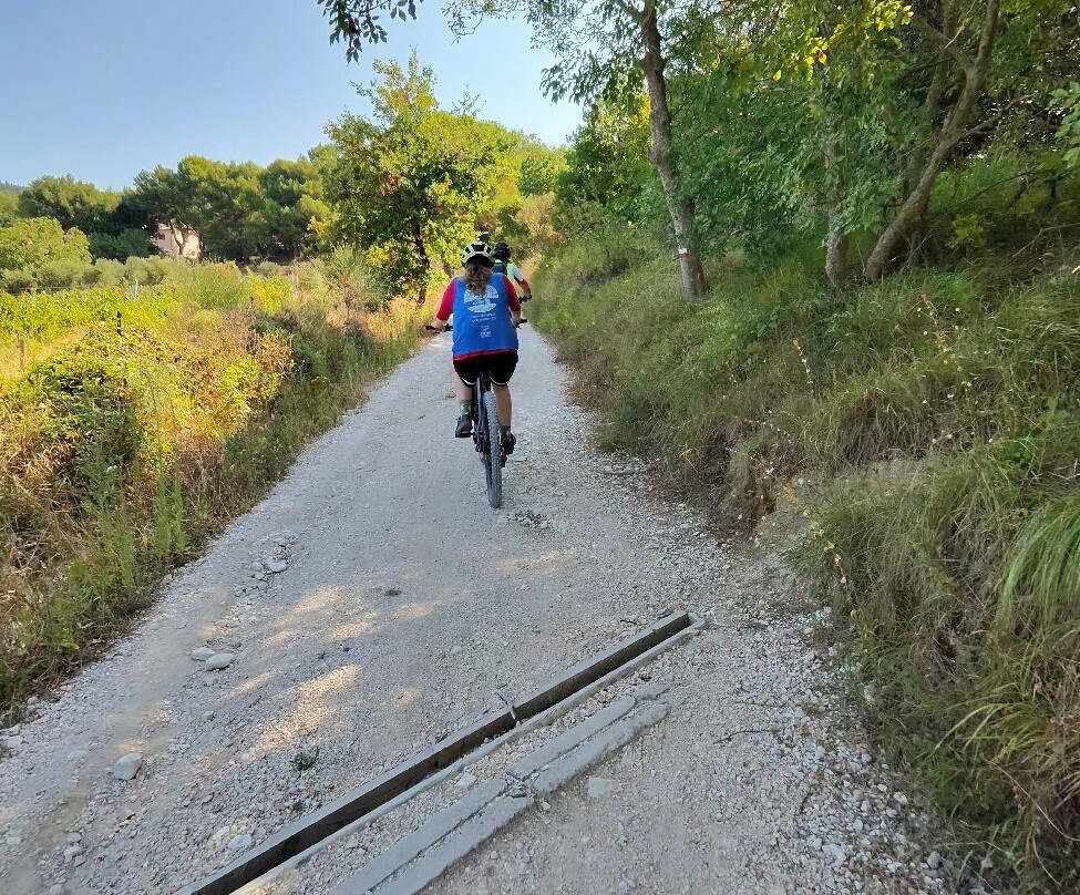 Conero by Bike - Bike Tours-Sirolo必去景点