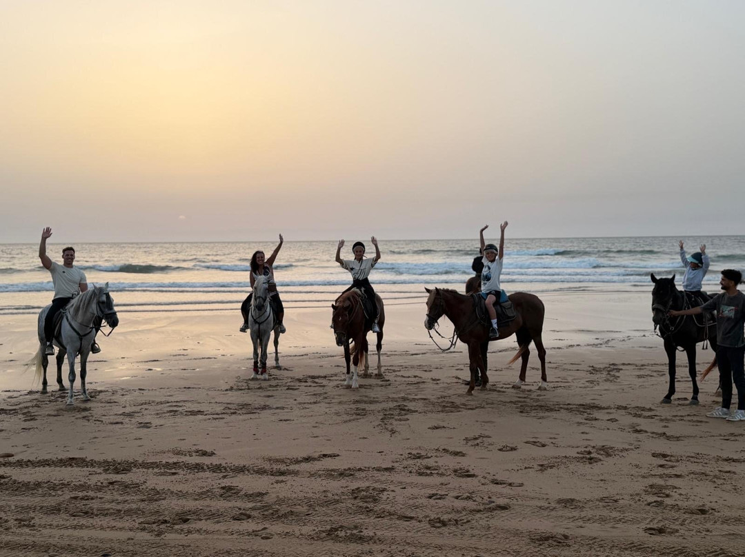 Mogador Horse