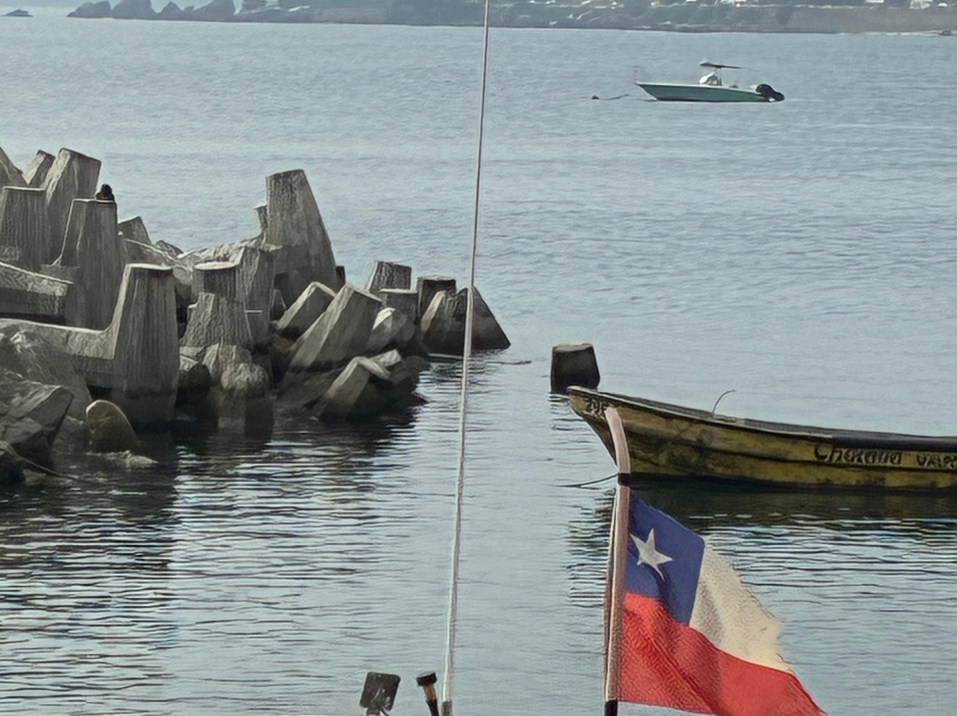 Caleta Higuerillas-比尼亚德尔马必去景点