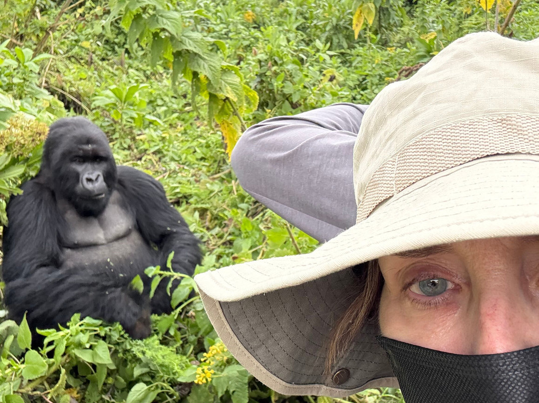 Go Gorilla Trekking-吉佳利必去景点