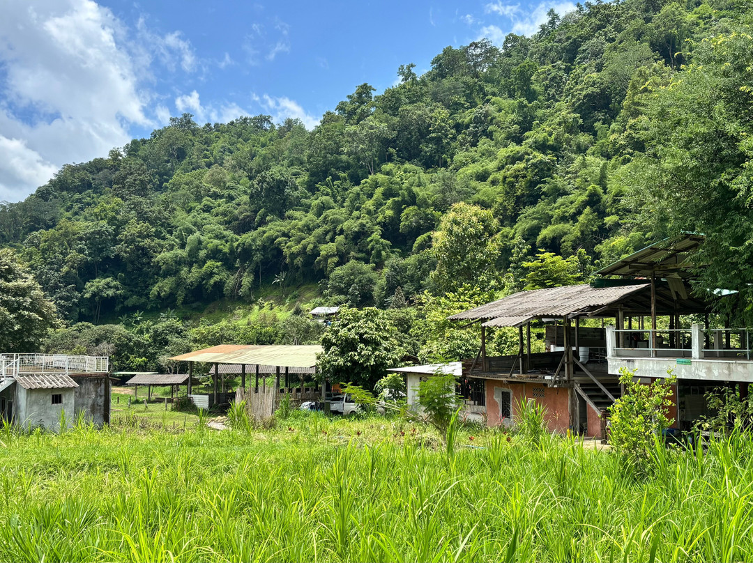 Doi Lom Elephant Rescue Sanctuary-夜登必去景点
