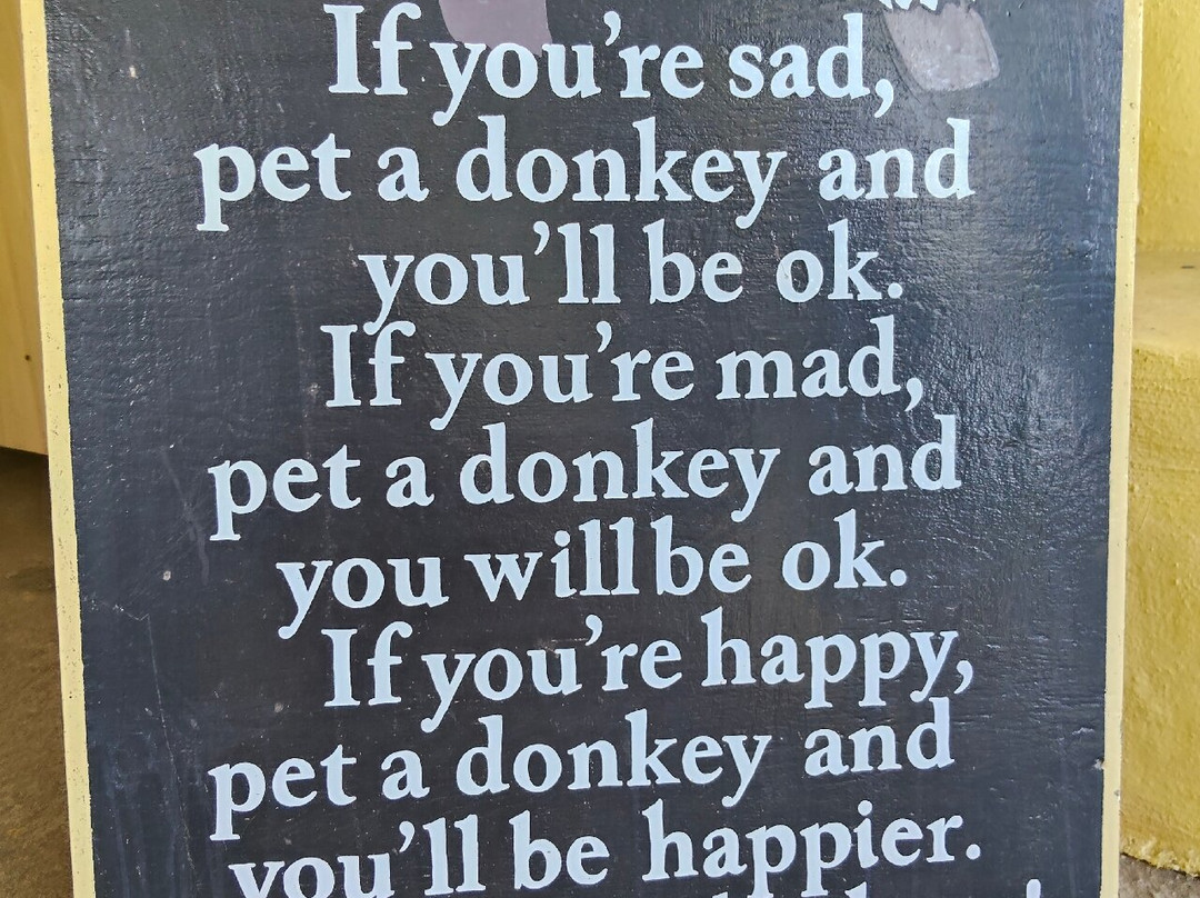 Agia Marina Donkey Rescue Sanctuary-Petrokefali必去景点