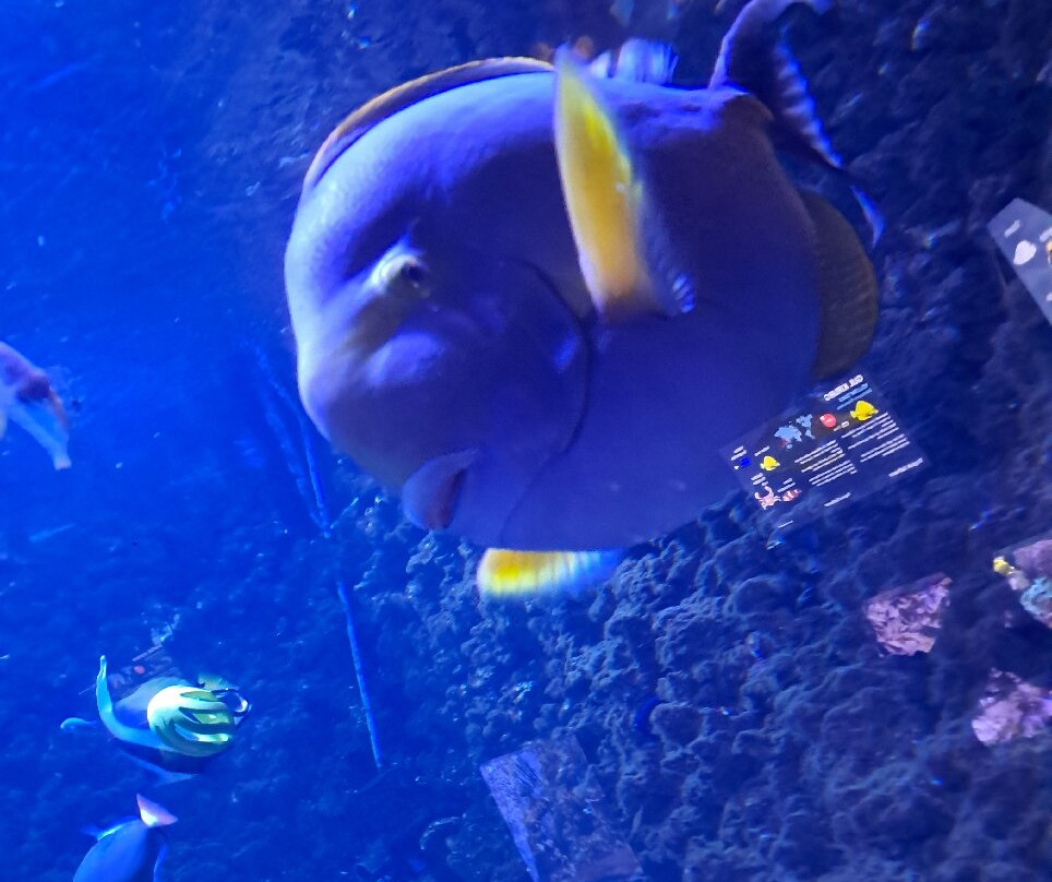 Bergen Aquarium-卑尔根必去景点