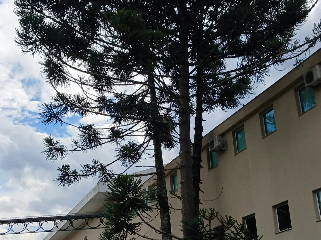 Mira Serra Parque Hotel主图