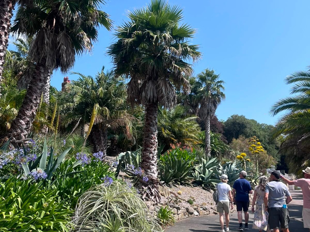 Ventnor Botanic Garden-文特诺必去景点