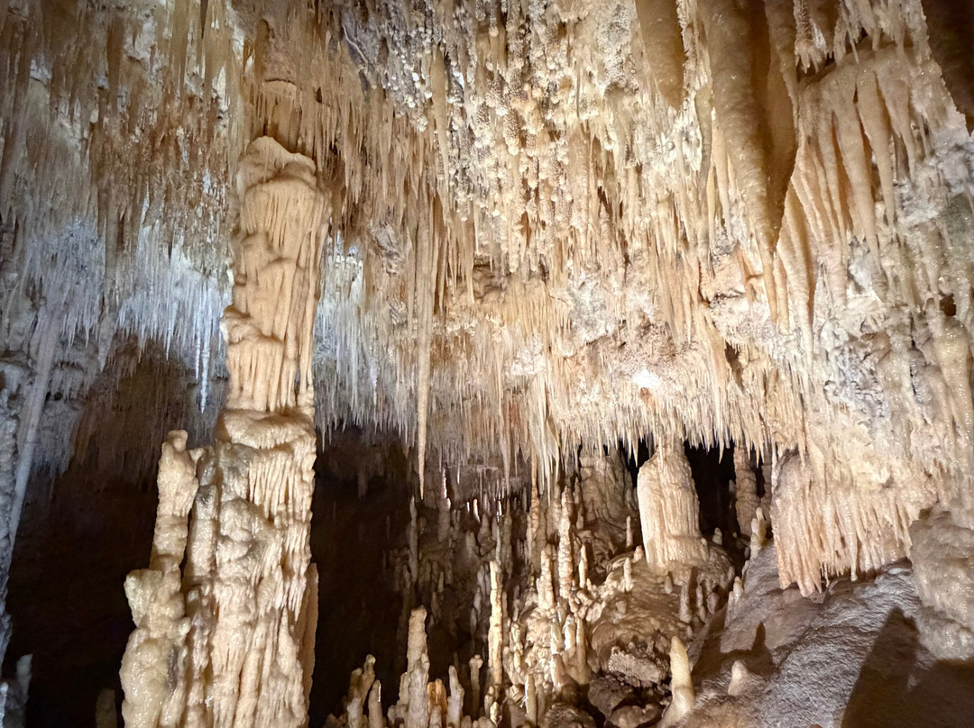Grotte Di Castellana-卡斯特拉纳格罗泰必去景点