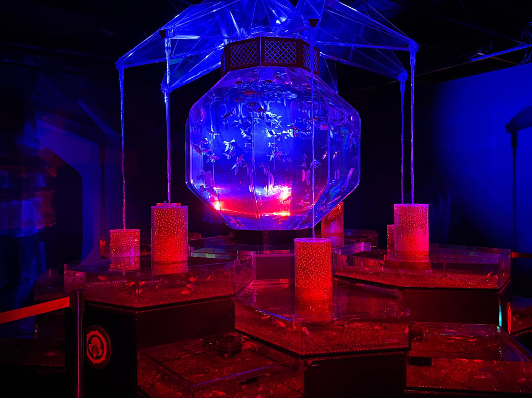 Art Aquarium-Ginza必去景点