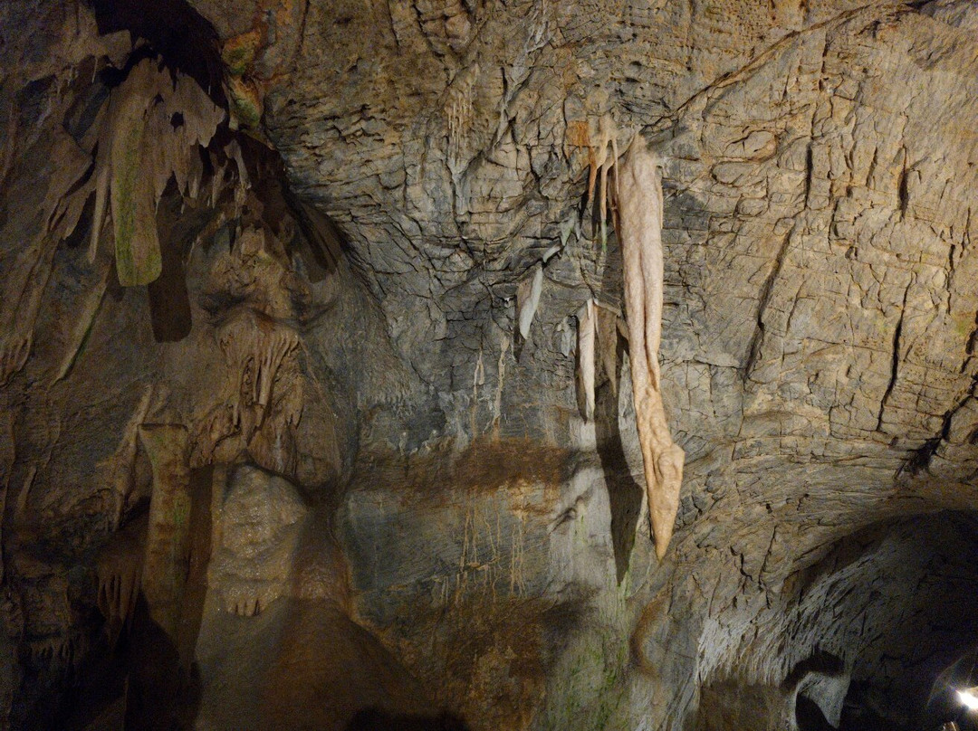 Grotte di Toirano-Toirano必去景点