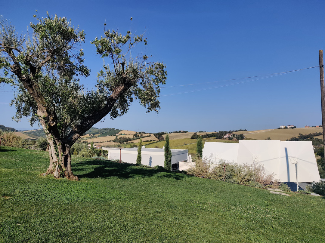 A3Passi Agriturismo tra gli Ulivi 酒店主图