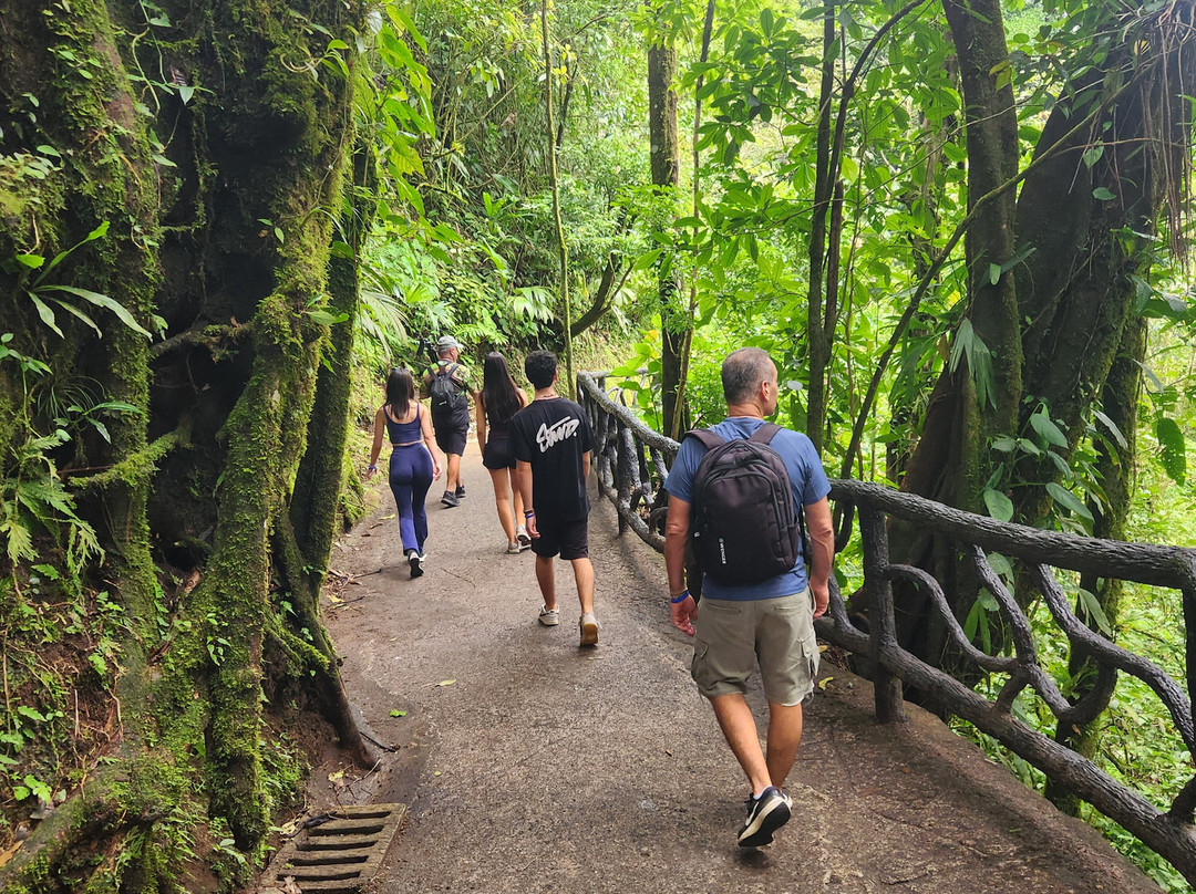 Alejandro Chaves Viquez Tour Guide-圣何塞必去景点