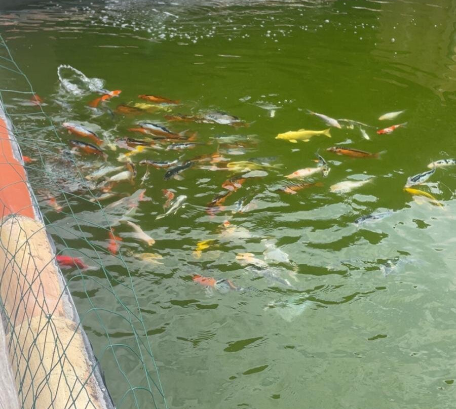 Zoo de Mescoules-Mescoules必去景点