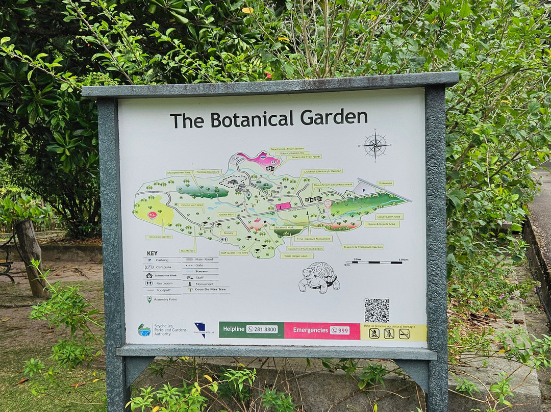 Seychelles National Botanical Gardens-维多利亚必去景点