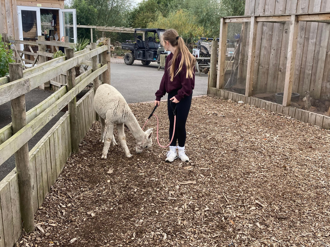 Nanny Sharon's Alpaca Farm C.I.C-Prenton必去景点
