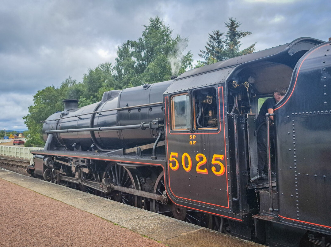 Strathspey Railway-阿维莫尔必去景点
