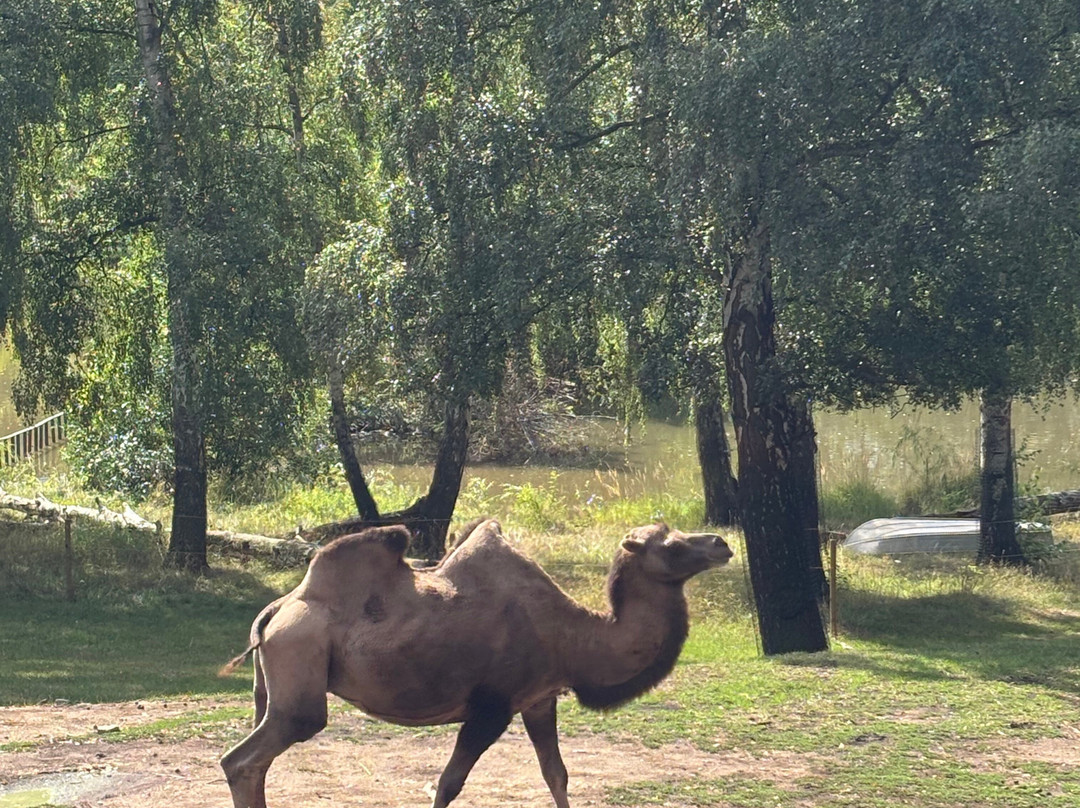 Zoopark Chomutov-霍穆托夫必去景点
