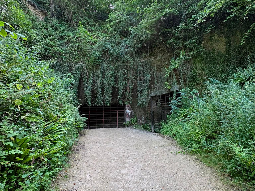 Beer Quarry Caves-Beer必去景点